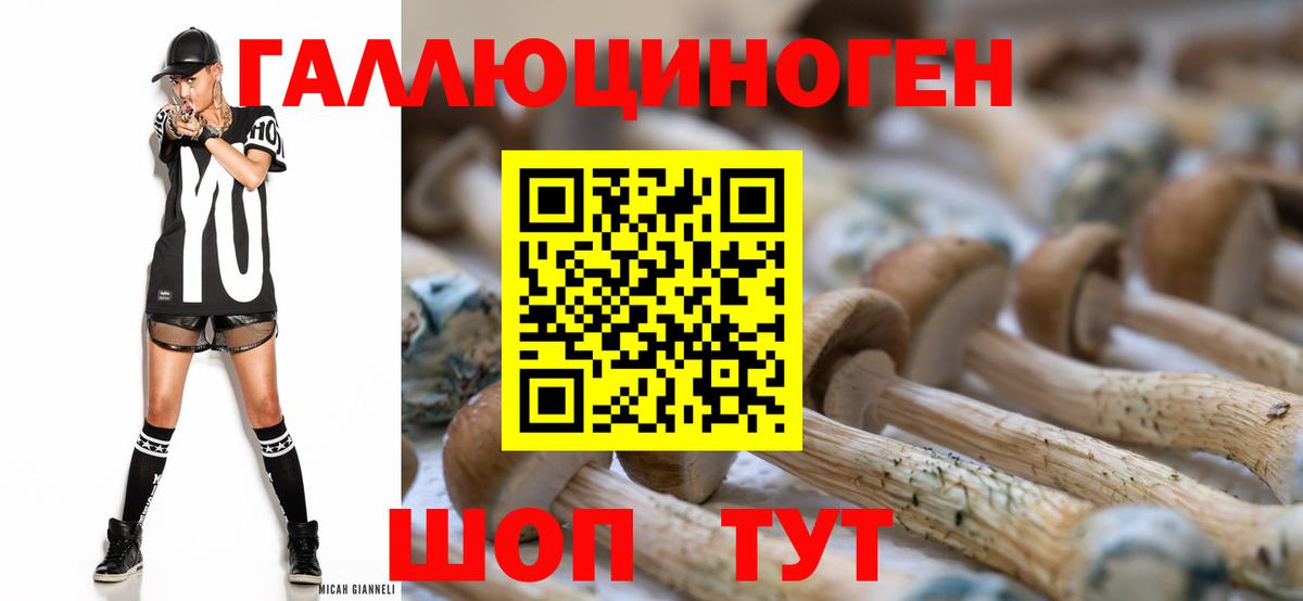 Богородицк  закладка  Вход с VPN  Галлюциногенные грибы мухоморы  Галлюциногенные грибы Cubensis 